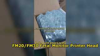 Kepala Printer Monitor Janin FM20/FM30 Baru Asli