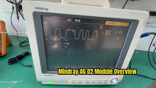 Modul Mindray AG dan O2 115 023943 00 Ikhtisar
